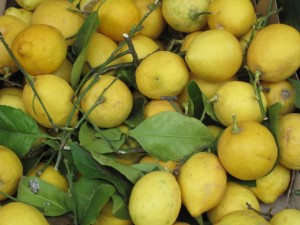 citroner m blad Katinkas Kitchen