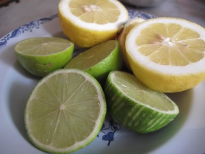citronlime Katinkas Kitchen